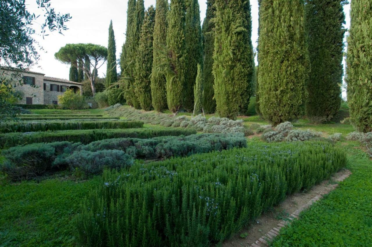 Bed & Breakfast Borgo La Torre Alle Tolfe *